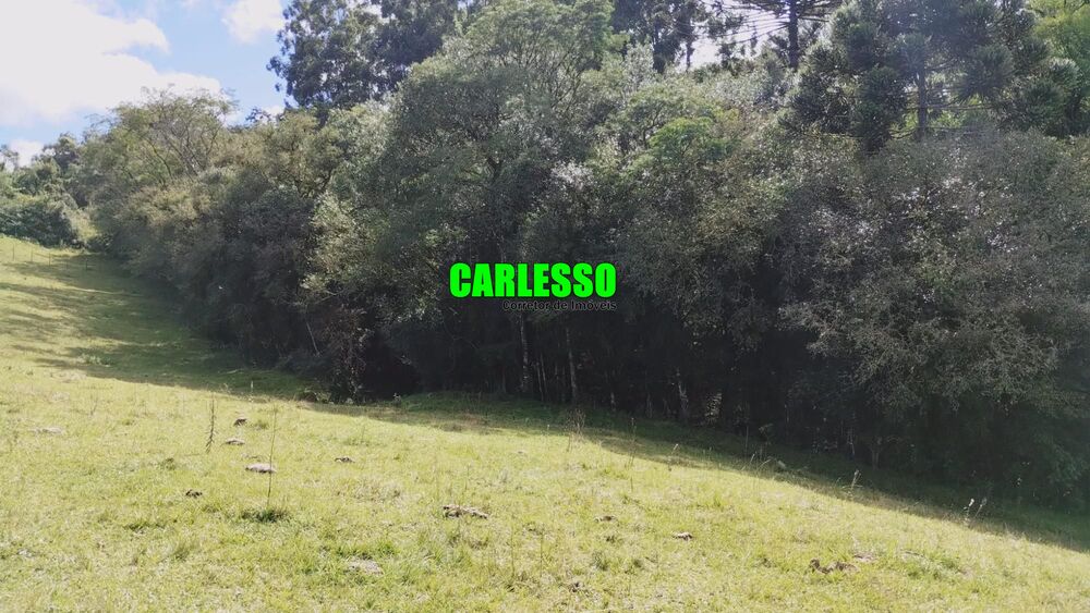 Fazenda, 6 hectares - Foto 2