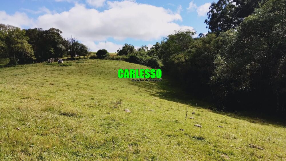 Fazenda, 6 hectares - Foto 4