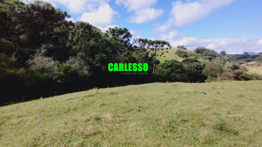 Fazenda, 6 hectares - Foto 1