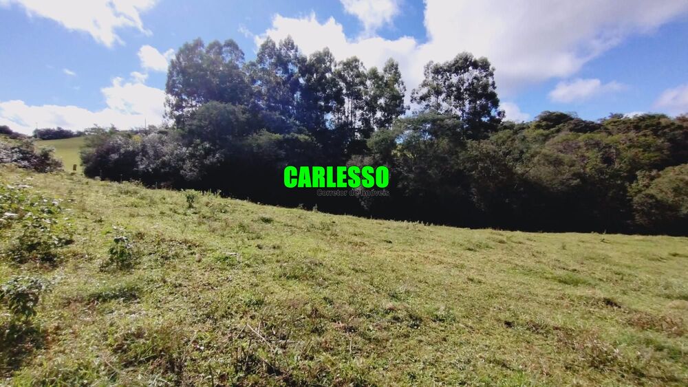 Fazenda, 6 hectares - Foto 3