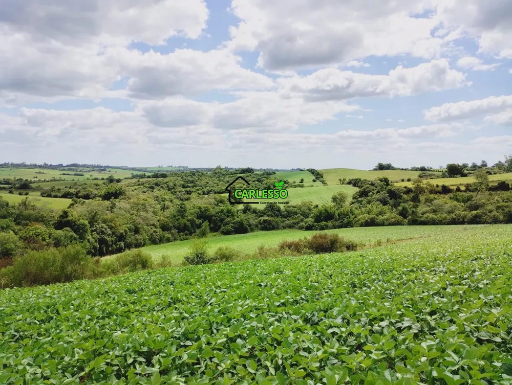 Sítio, 25 hectares - Foto 9