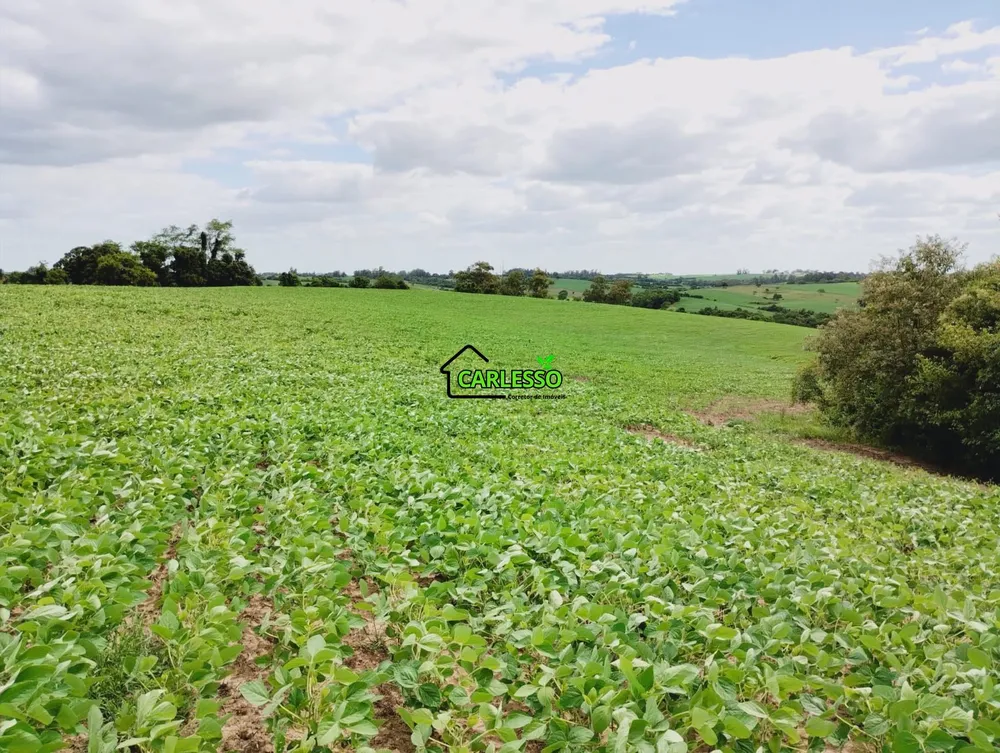 Sítio, 25 hectares - Foto 1