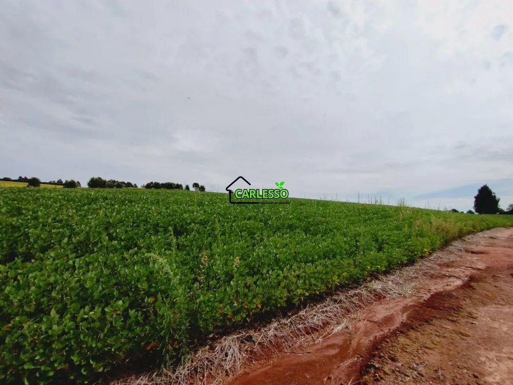 Chácara, 3 quartos, 25 hectares - Foto 13
