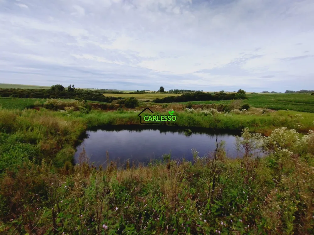 Chácara, 3 quartos, 25 hectares - Foto 6