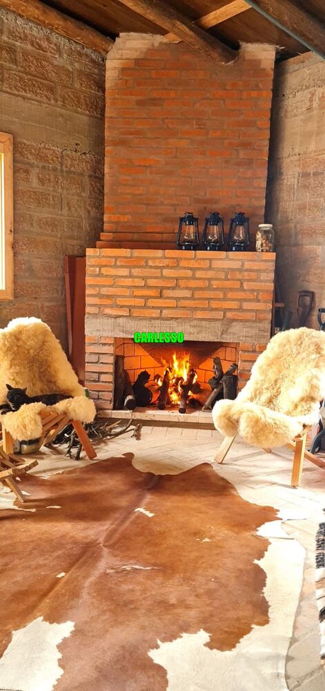 Chácara, 3 quartos, 5 hectares - Foto 3