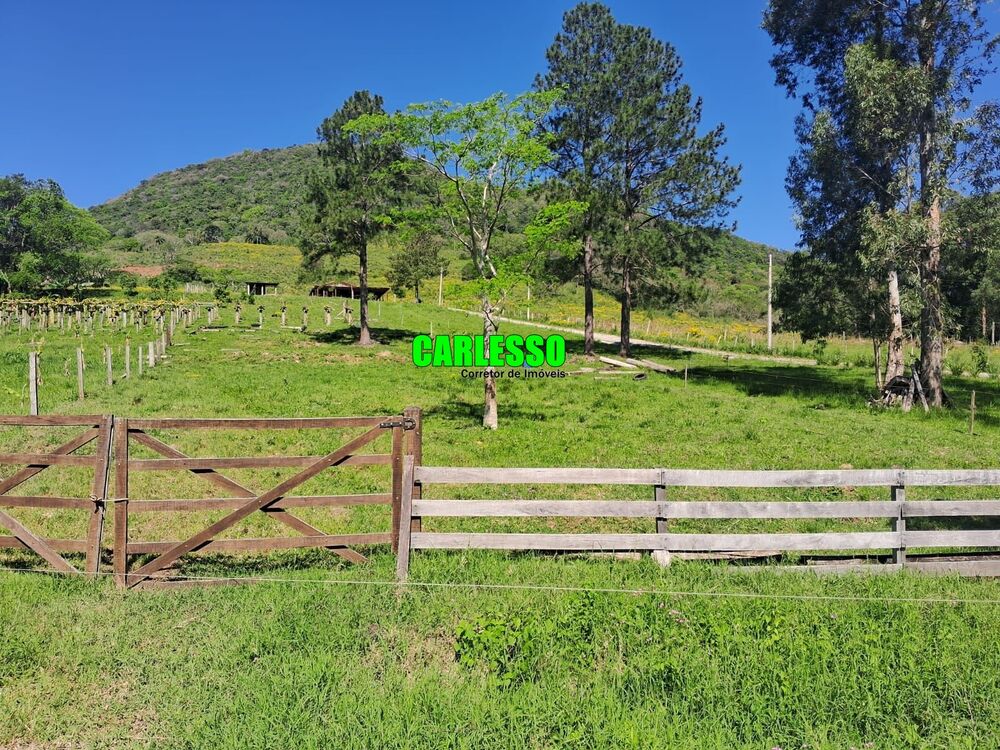Chácara à venda com 1 quarto, 100m² - Foto 4