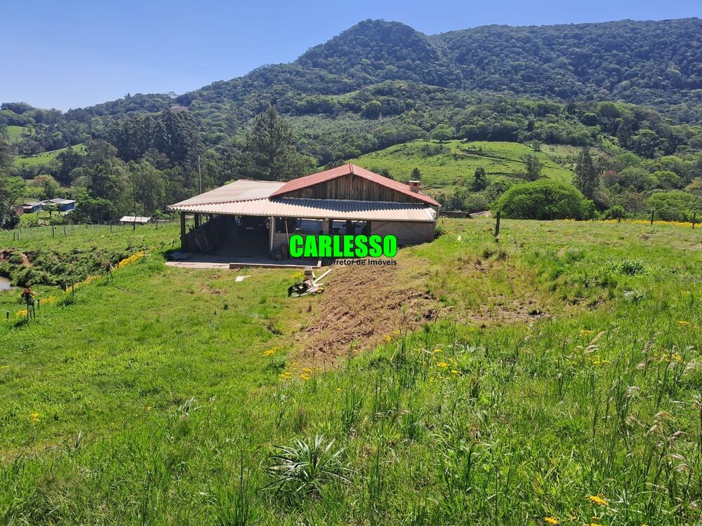 Chácara à venda com 1 quarto, 100m² - Foto 3