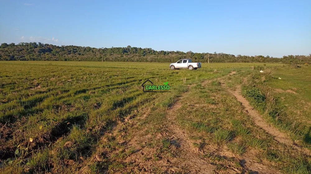Fazenda, 55 hectares - Foto 1