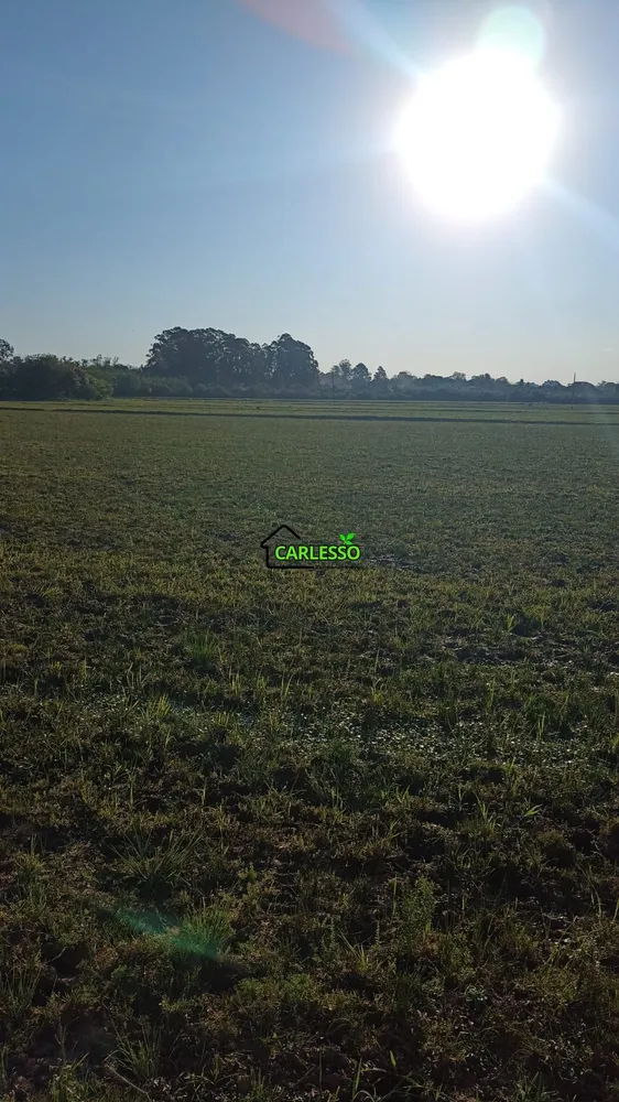 Fazenda, 55 hectares - Foto 16