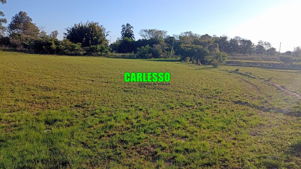 Fazenda, 55 hectares - Foto 3