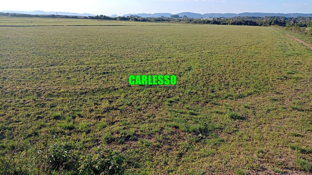 Fazenda, 55 hectares - Foto 1