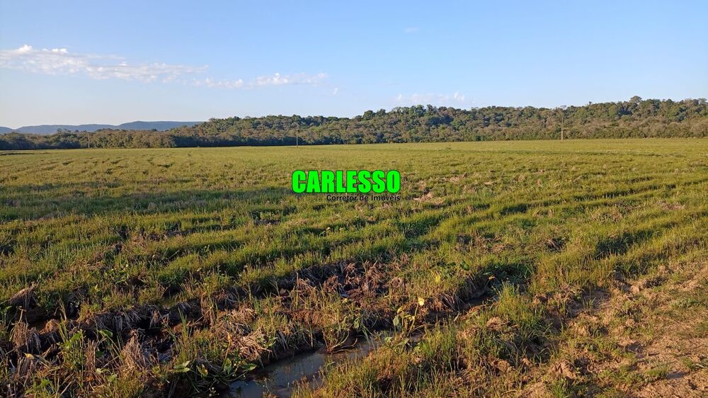 Fazenda, 55 hectares - Foto 4