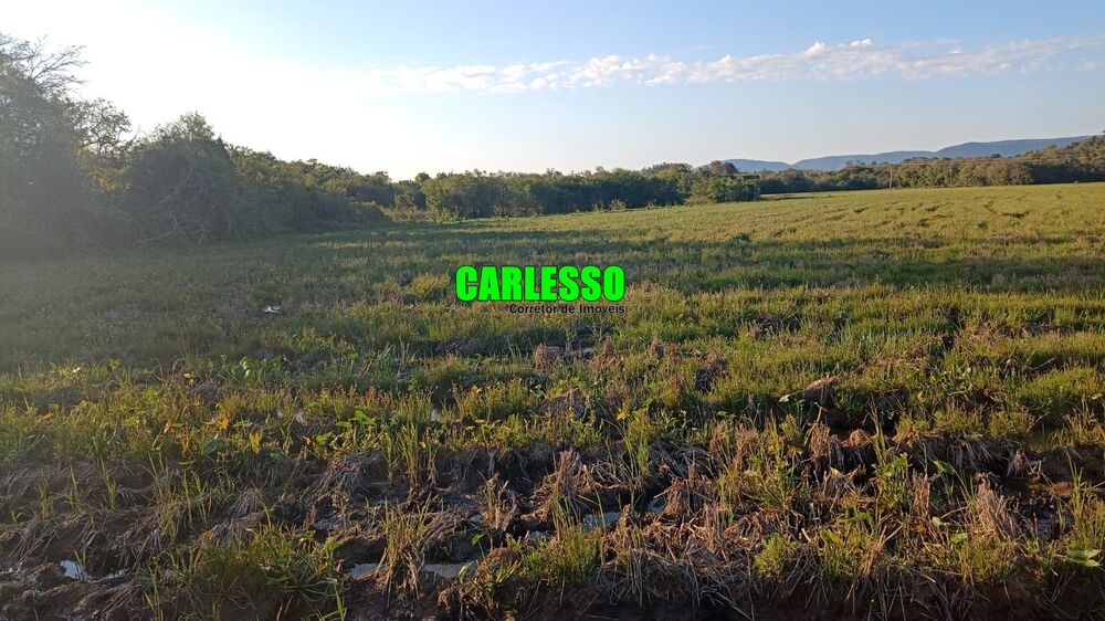 Fazenda, 55 hectares - Foto 2