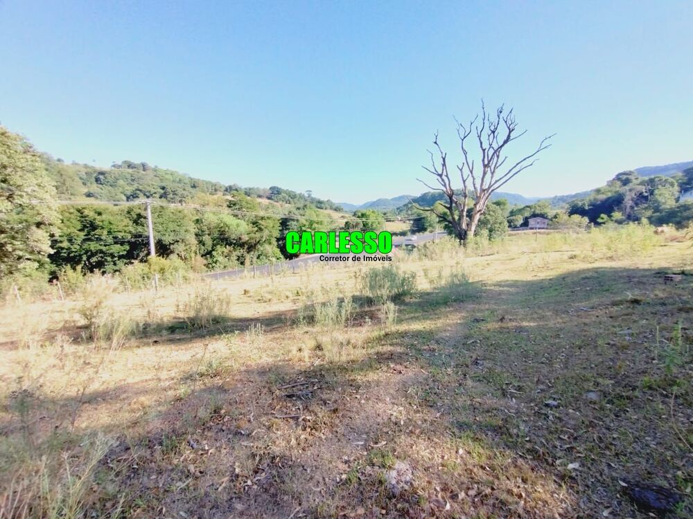 Chácara, 3 quartos, 25 hectares - Foto 4