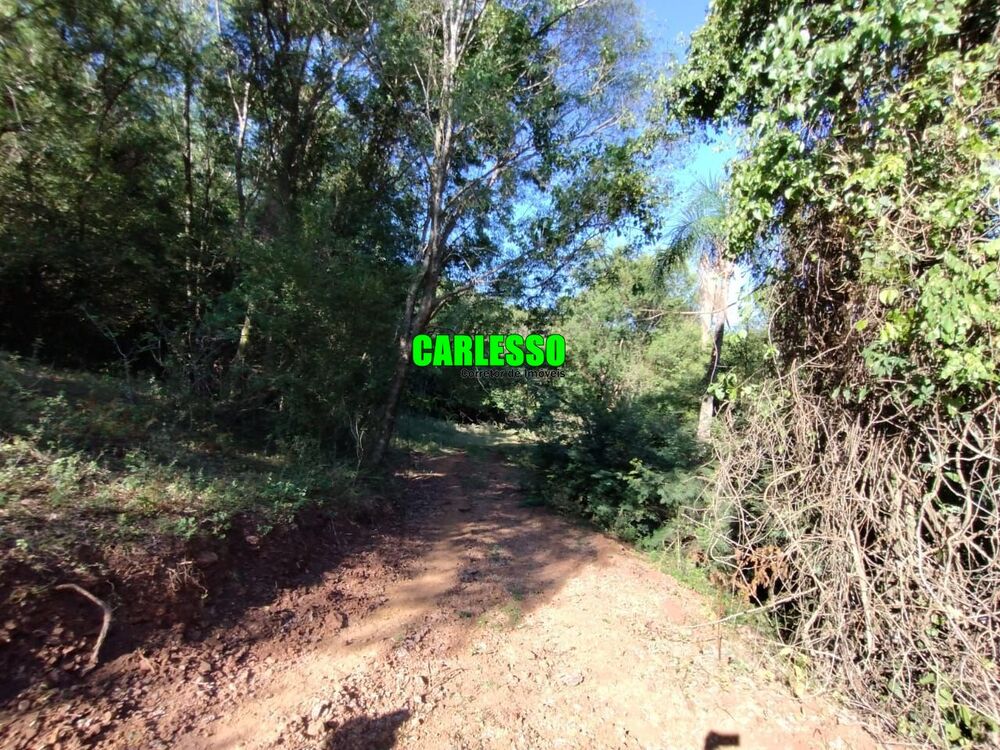 Chácara, 3 quartos, 25 hectares - Foto 1