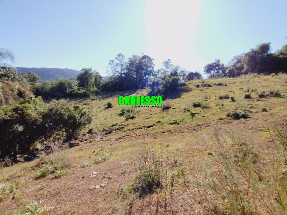 Chácara, 3 quartos, 25 hectares - Foto 6