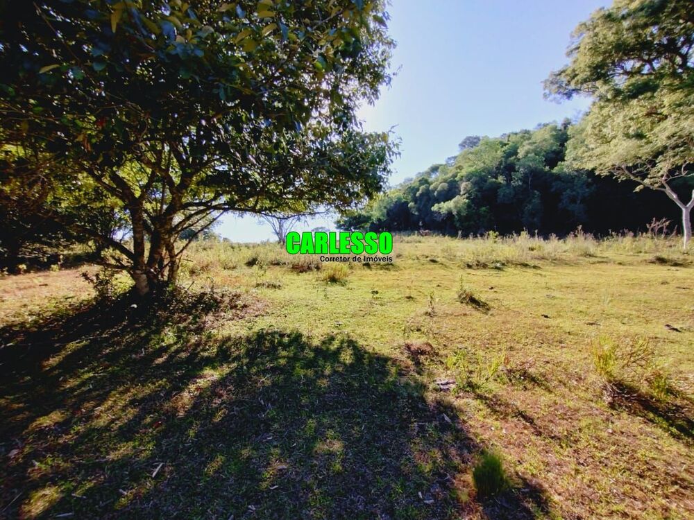 Chácara, 3 quartos, 25 hectares - Foto 3