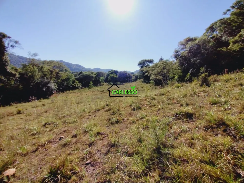 Sítio, 3 quartos, 25 hectares - Foto 20