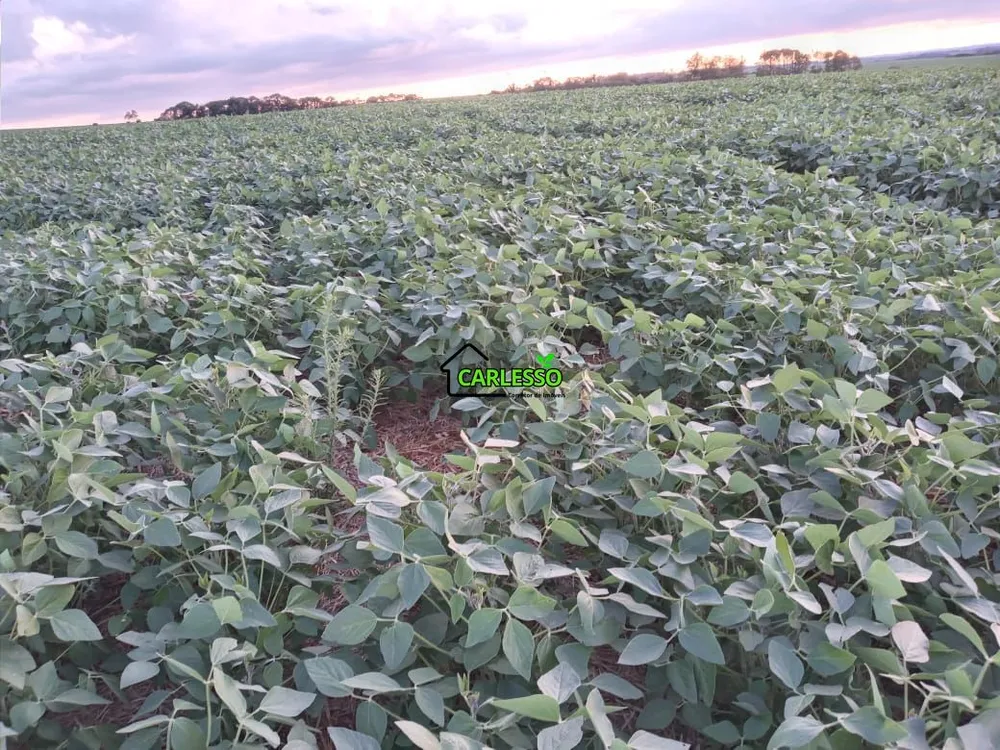 Fazenda, 48 hectares - Foto 7