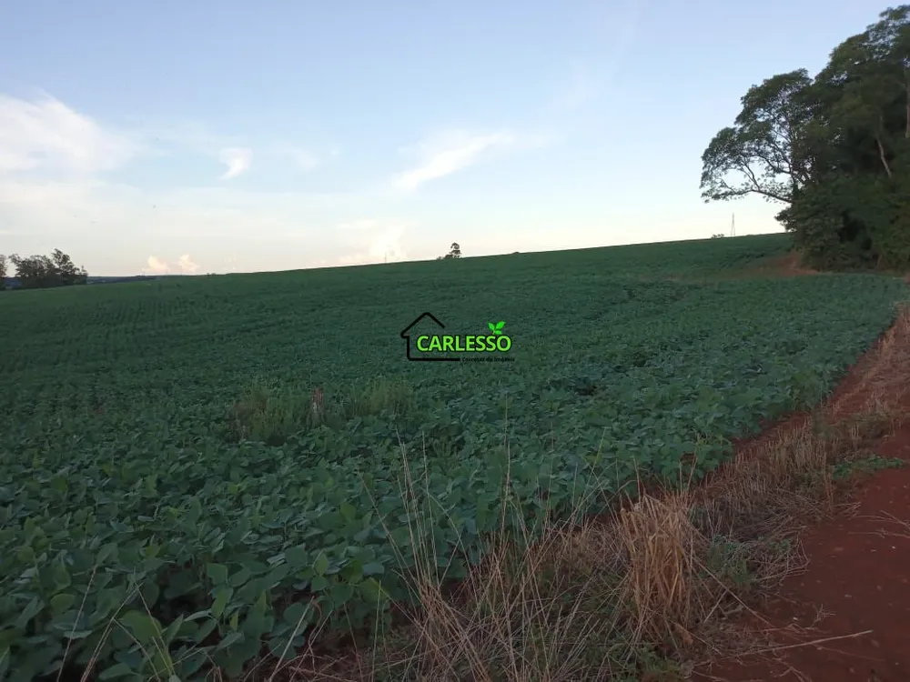 Fazenda, 48 hectares - Foto 1