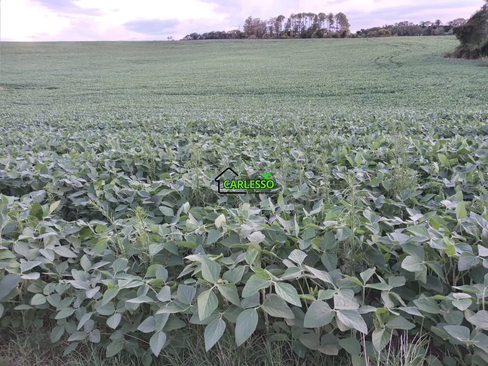 Fazenda, 48 hectares - Foto 10