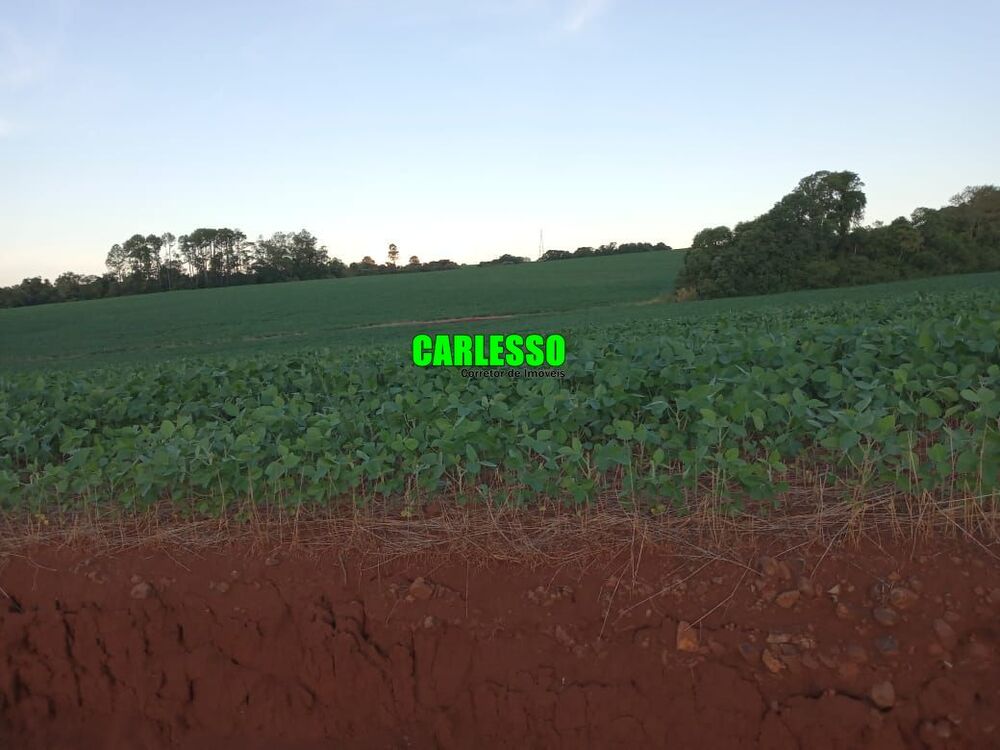 Fazenda-Sítio-Chácara, 48 hectares - Foto 3