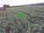 Fazenda-Sítio-Chácara, 48 hectares - Foto 4