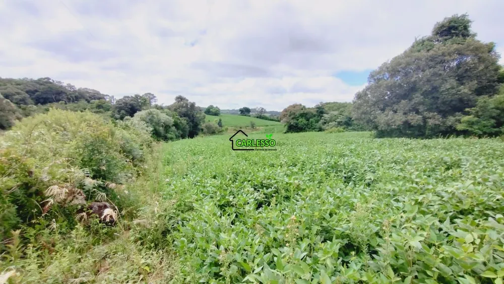 Chácara, 14 hectares - Foto 8