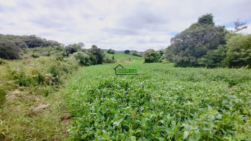 Chácara, 14 hectares - Foto 2