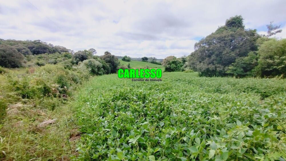 Loteamento e Condomínio à venda, 141000m² - Foto 4