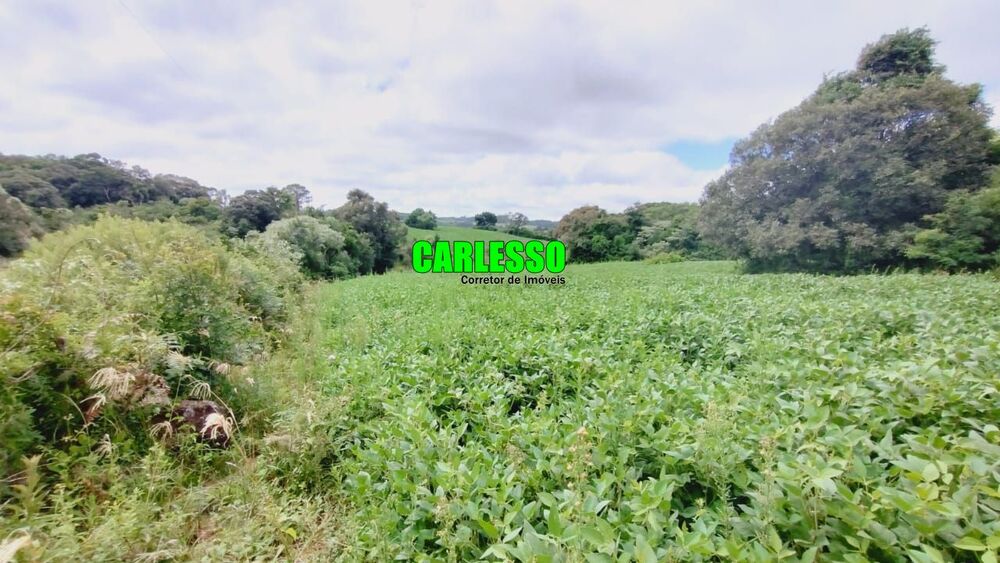 Loteamento e Condomínio à venda, 141000m² - Foto 3
