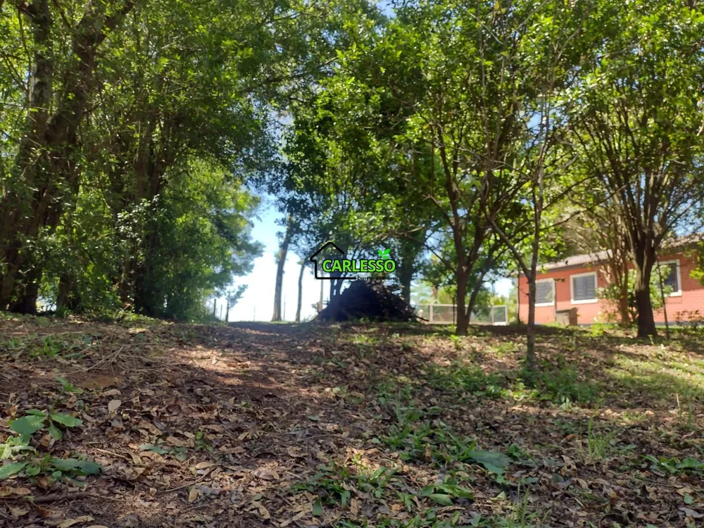 Chácara, 2 quartos, 2 hectares - Foto 13