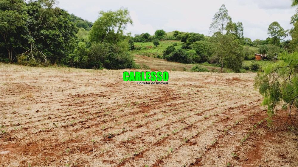 Sítio, 15 hectares - Foto 3