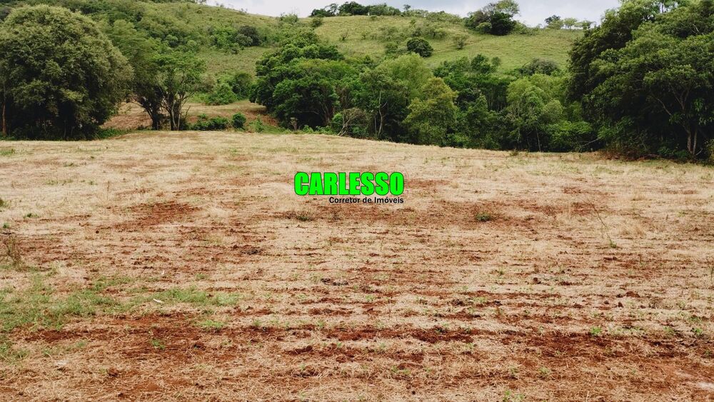 Sítio, 15 hectares - Foto 4