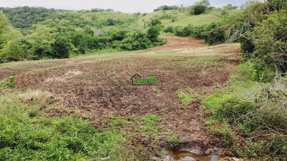 Sítio, 15 hectares - Foto 12
