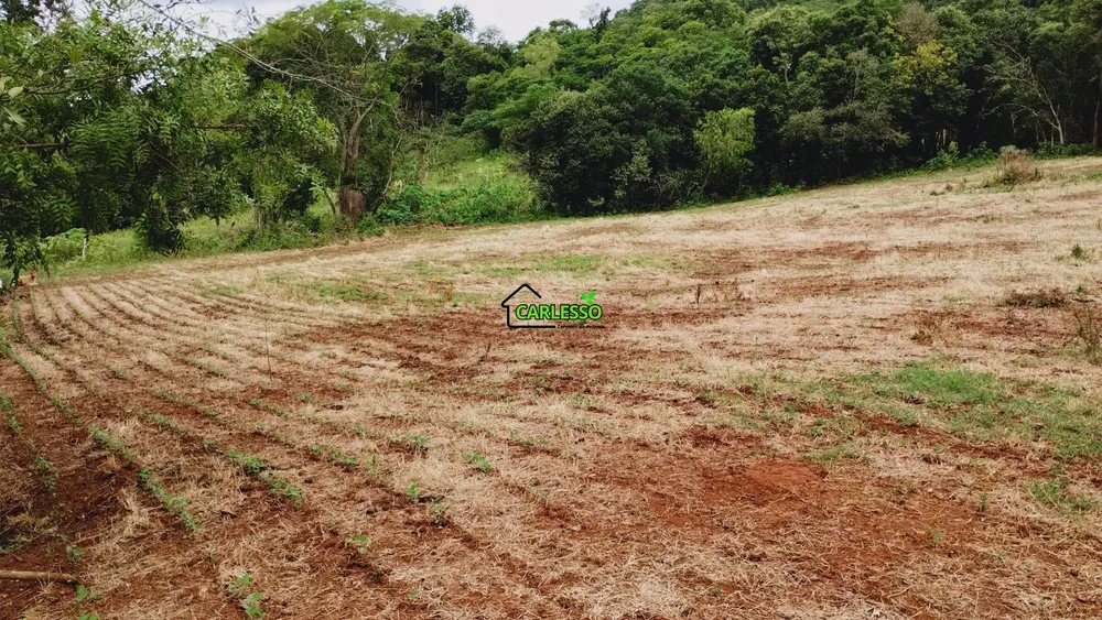 Sítio, 15 hectares - Foto 7