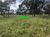 Fazenda, 8 hectares - Foto 4