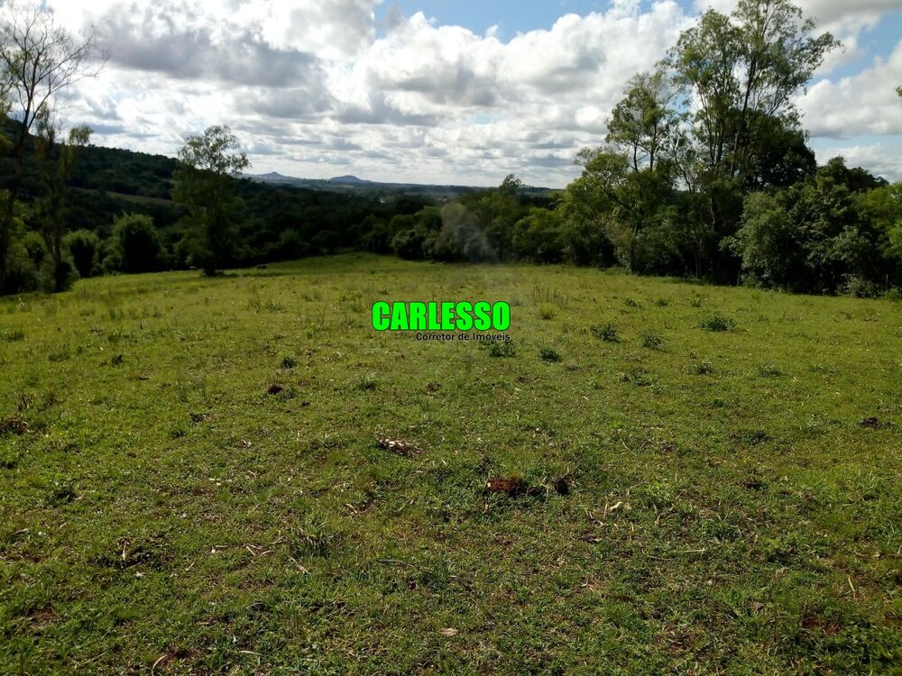 Terreno, 5 hectares - Foto 4