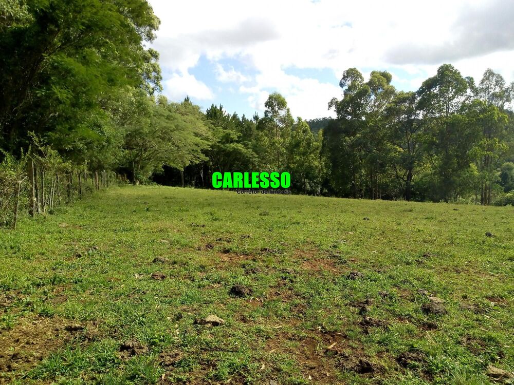 Terreno, 5 hectares - Foto 2