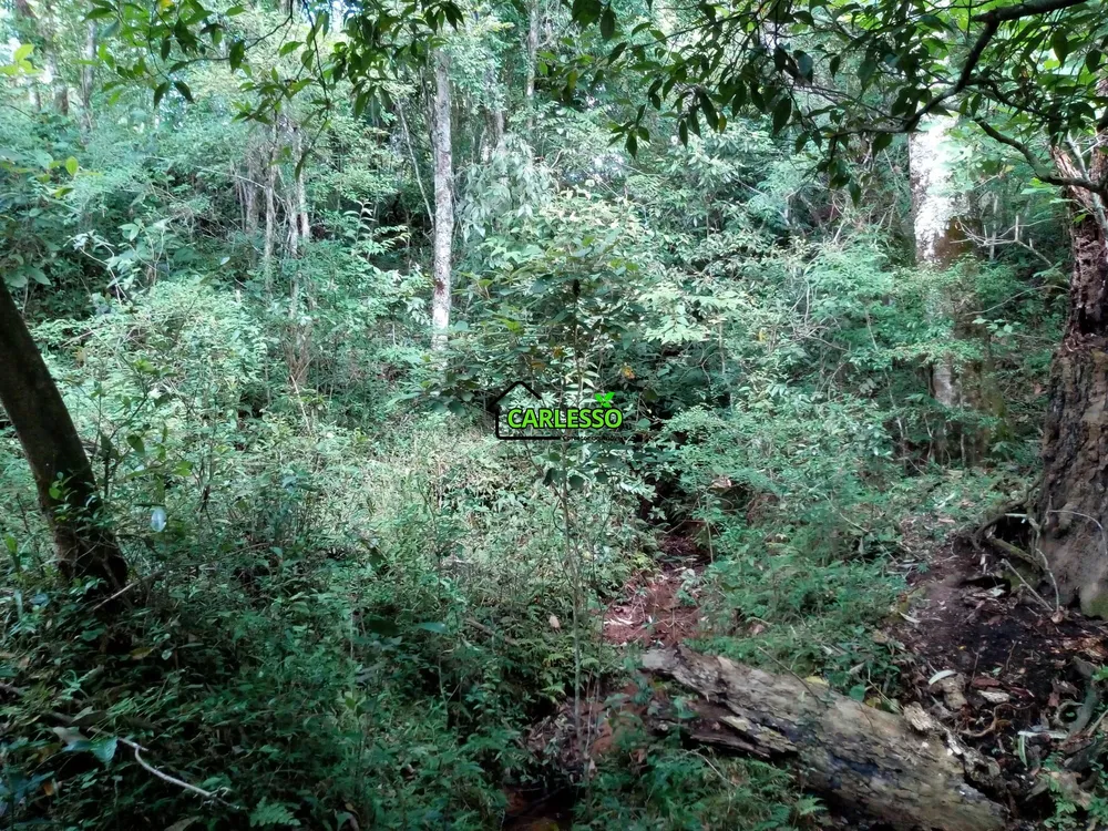 Terreno, 5 hectares - Foto 14