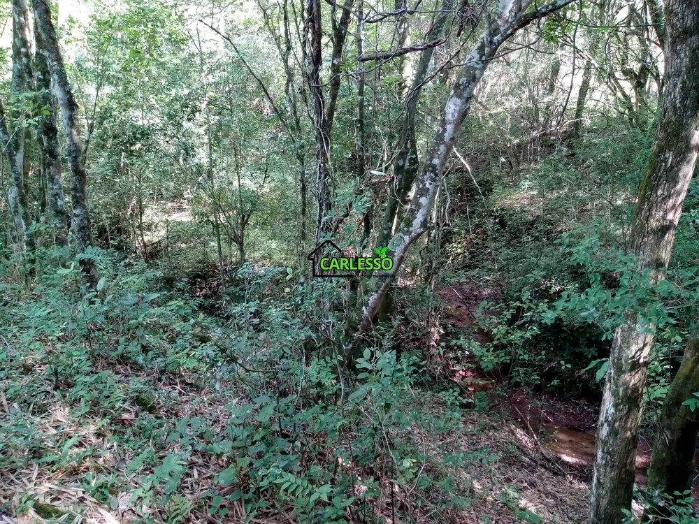 Terreno, 5 hectares - Foto 5