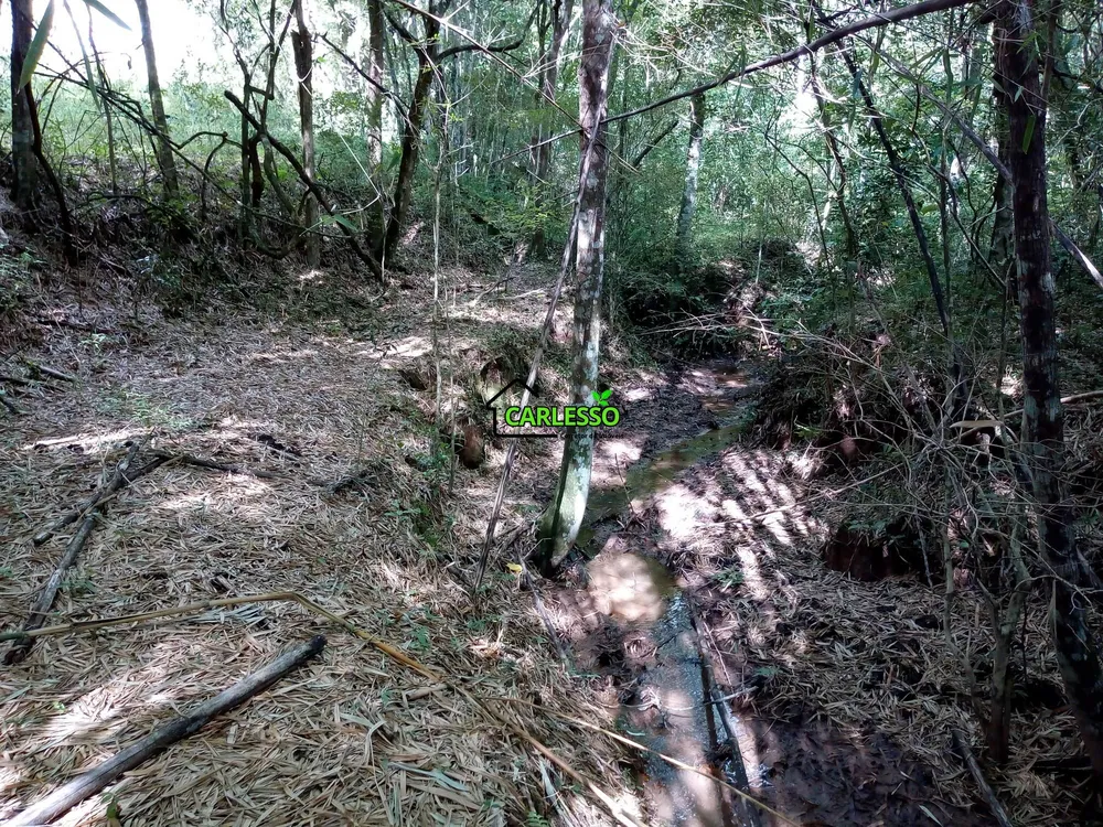 Terreno, 5 hectares - Foto 6