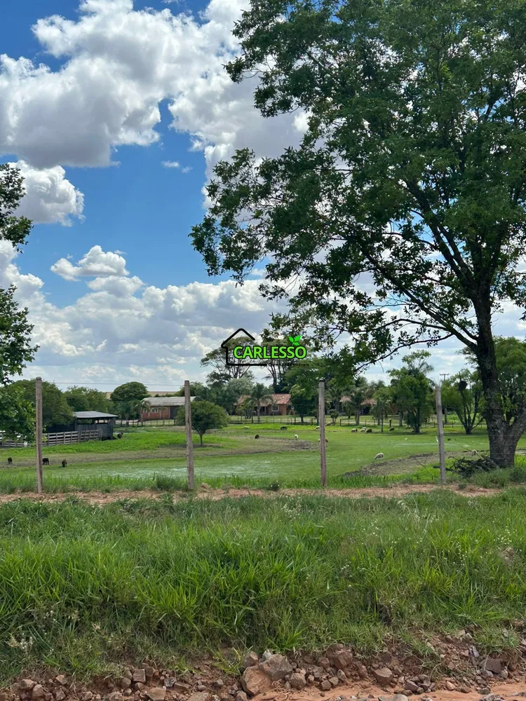 Fazenda, 700 hectares - Foto 3
