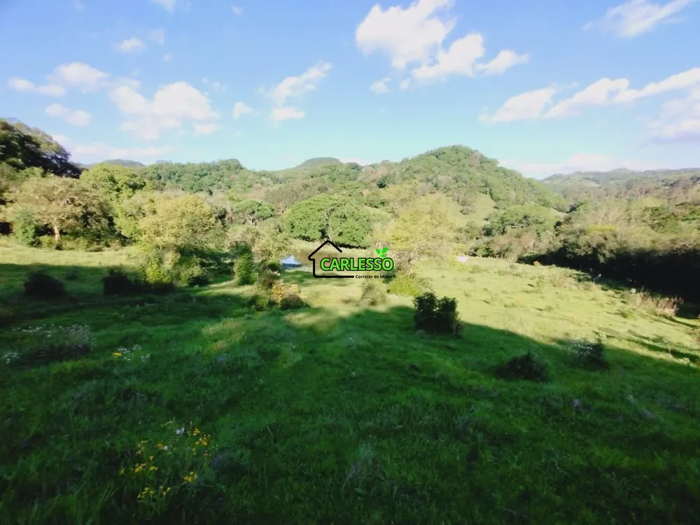 Chácara, 2 quartos, 7 hectares - Foto 15