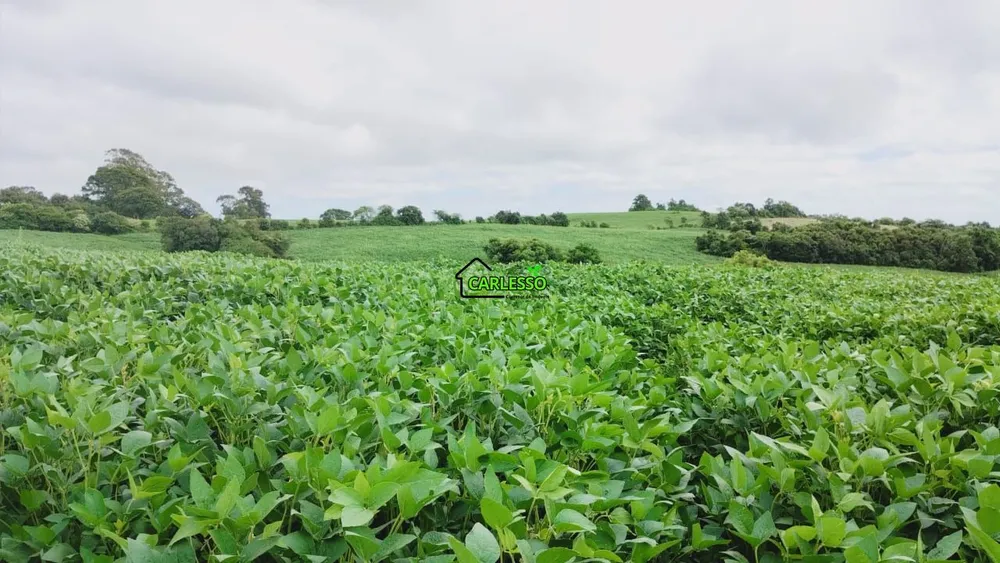 Fazenda, 6 hectares - Foto 1