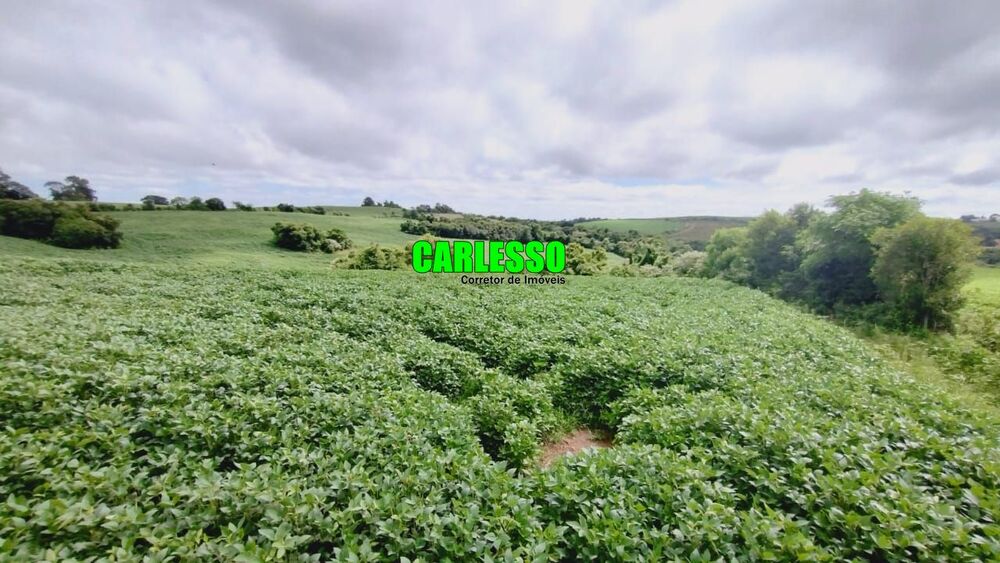 Fazenda, 6 hectares - Foto 7