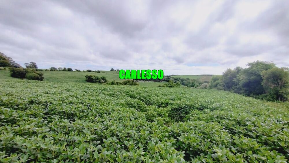 Fazenda, 6 hectares - Foto 6