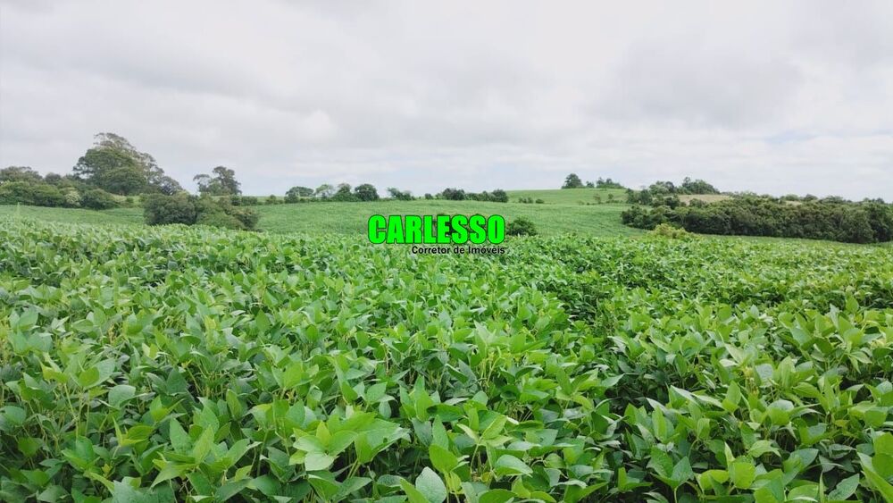 Fazenda, 6 hectares - Foto 8