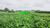 Loteamento e Condomínio, 6 hectares - Foto 4