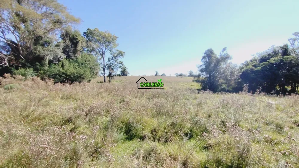 Sítio, 28 hectares - Foto 12